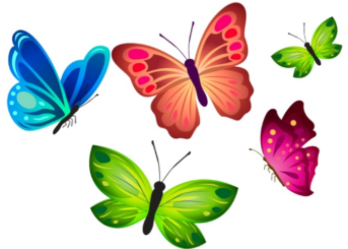 Motýlci – měsíční program na září ( změna)