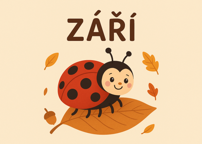 Berušky – září