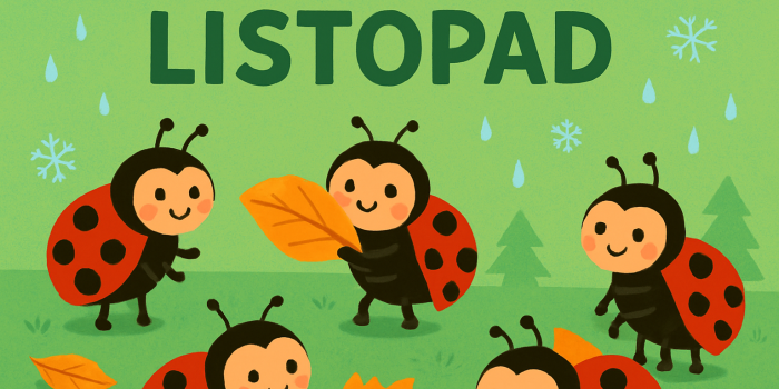 Berušky – listopad