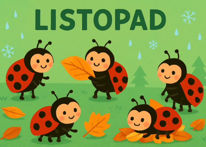 Berušky – listopad