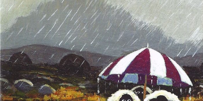 OVEČKY – listopad 2025