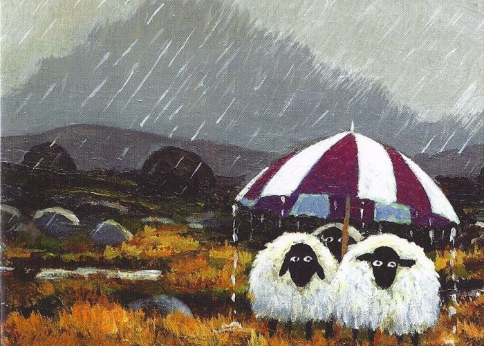 OVEČKY – listopad 2025