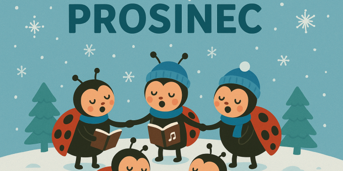 Berušky – prosinec