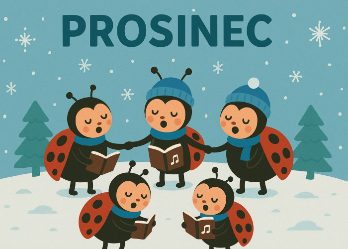 Berušky – prosinec