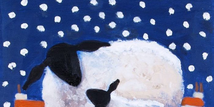 OVEČKY – PROSINEC 2025