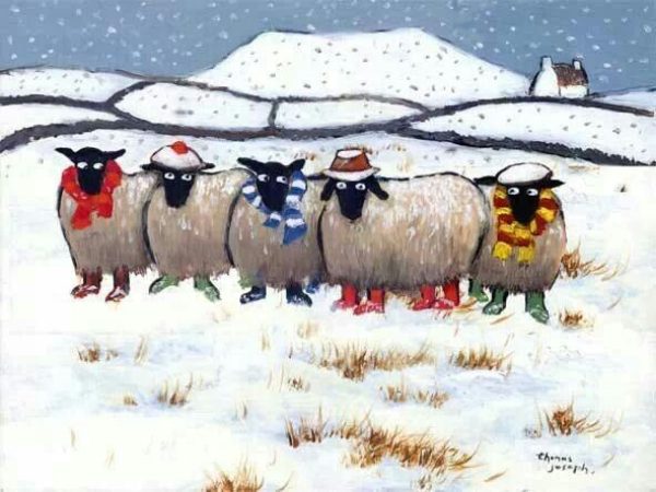 OVEČKY – LEDEN 2026