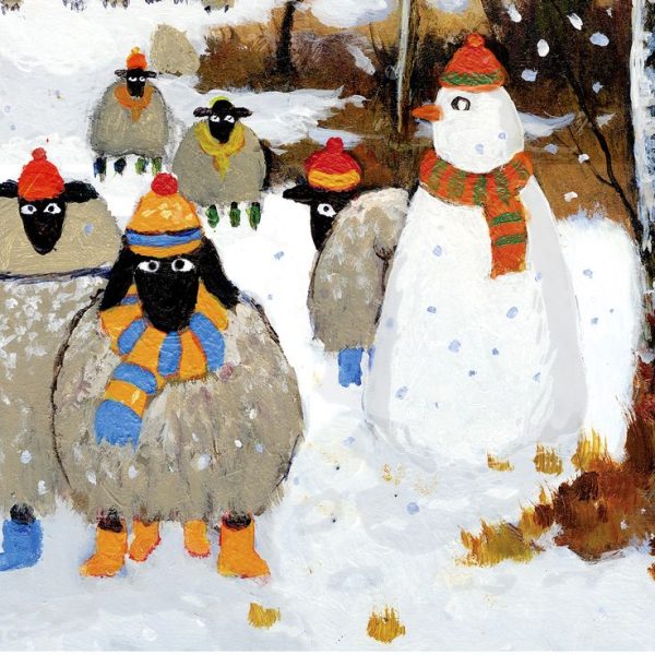 OVEČKY – ÚNOR 2026